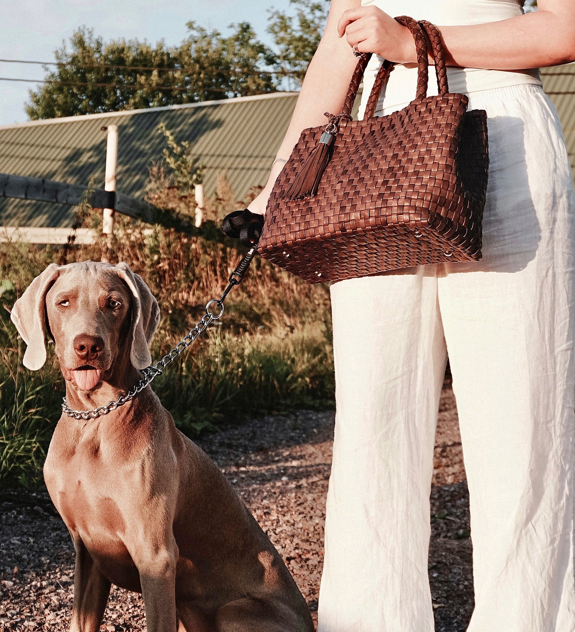 Kvinne med Ribichini Ginny veske i brun flettet skinn, sammen med en hund på tur i solnedgang.